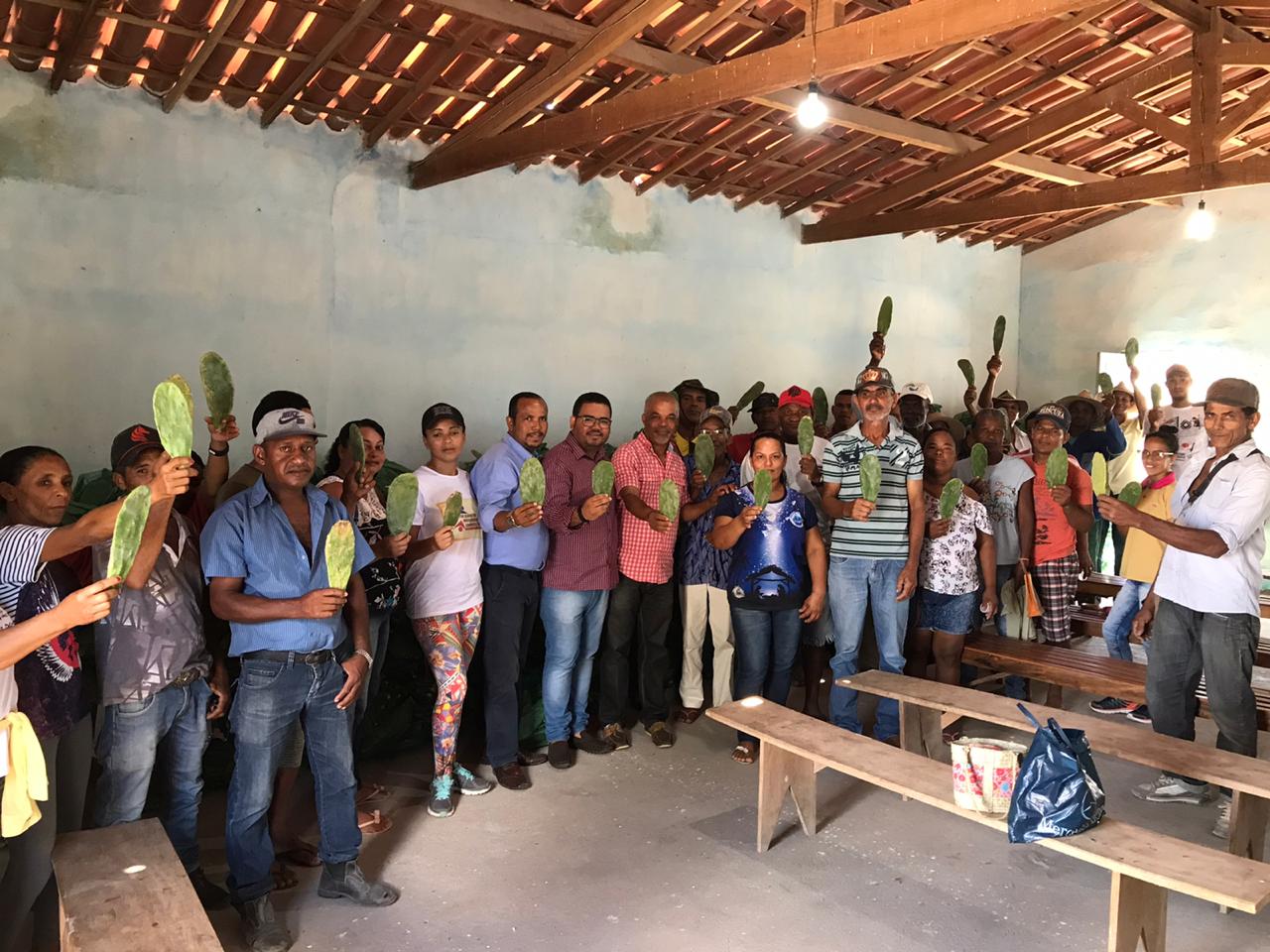Comunidade de Teofilândia recebe 50 mil mudas de palma forrageira